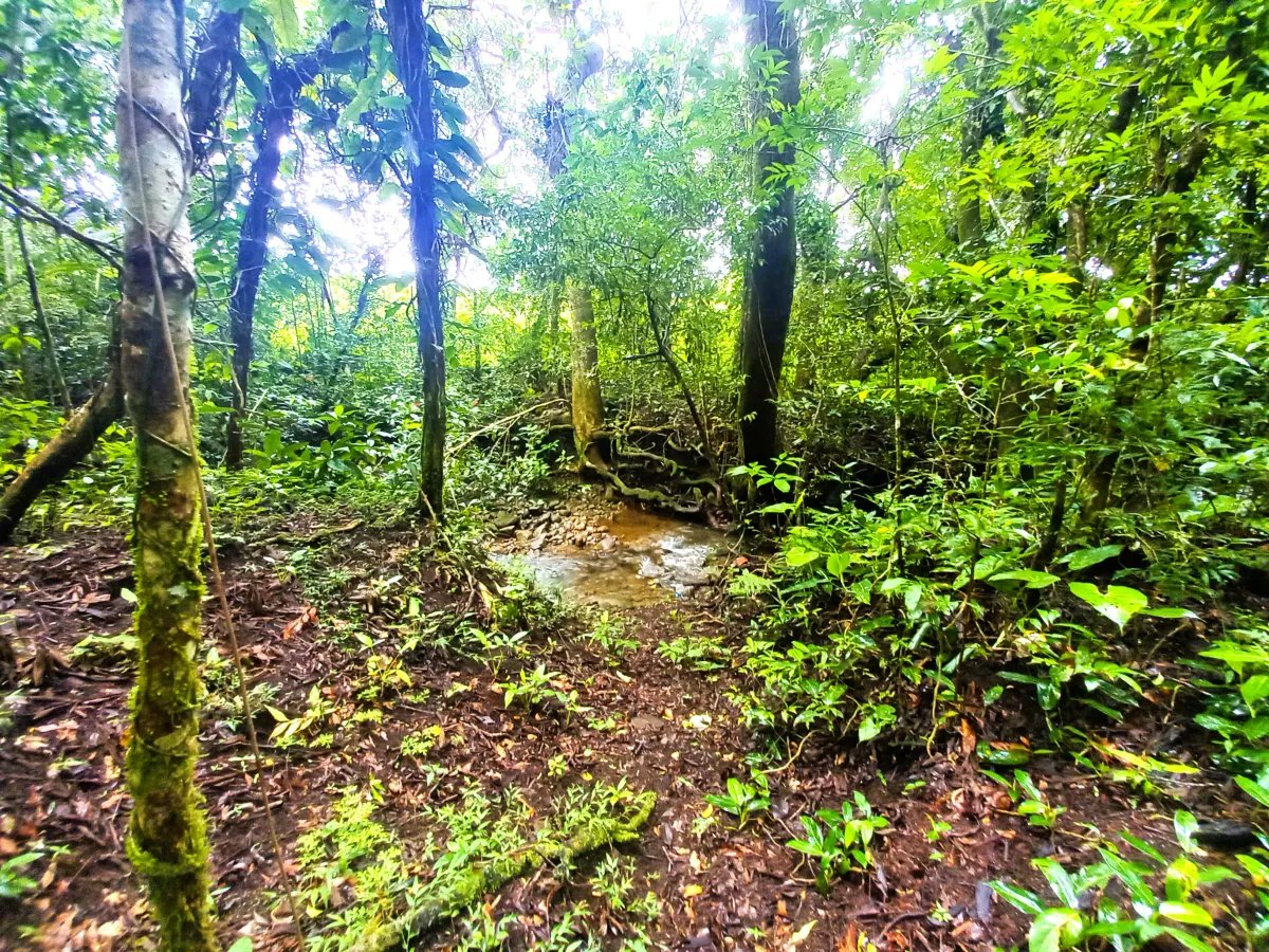 Lot For Sale in Potrerillos |  6059m² |  Chiriqui | Panama