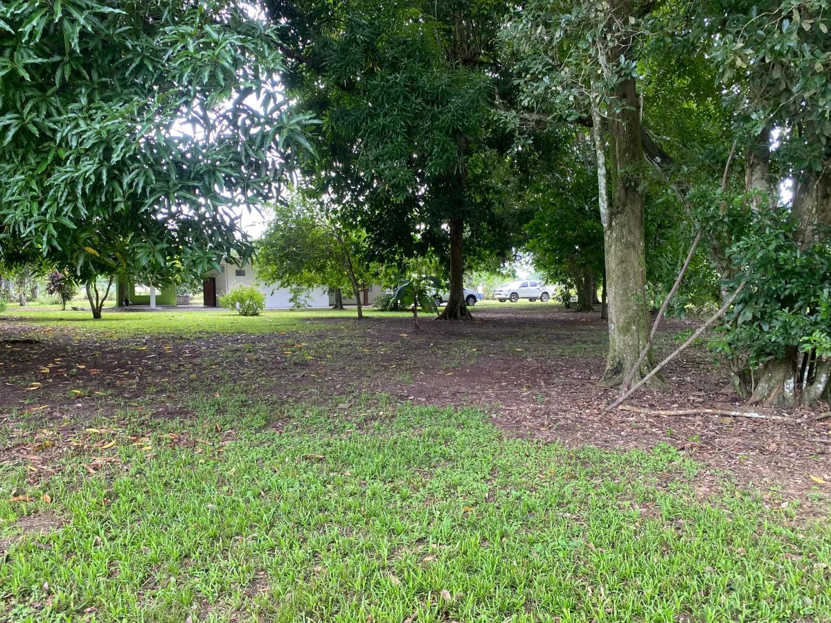 Farm For Sale in Alanje