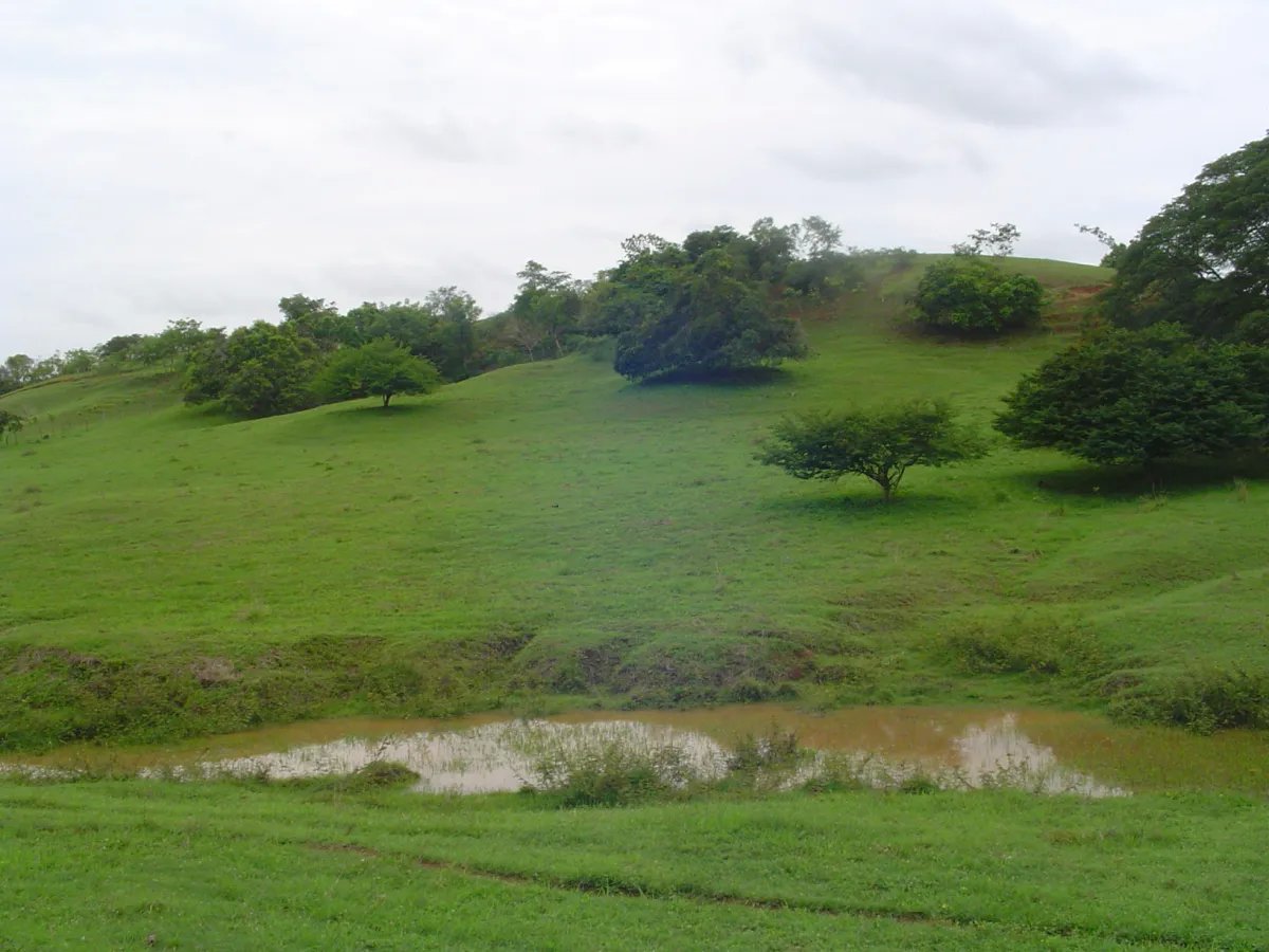 Unimproved Land For Sale in Parita, Potuga