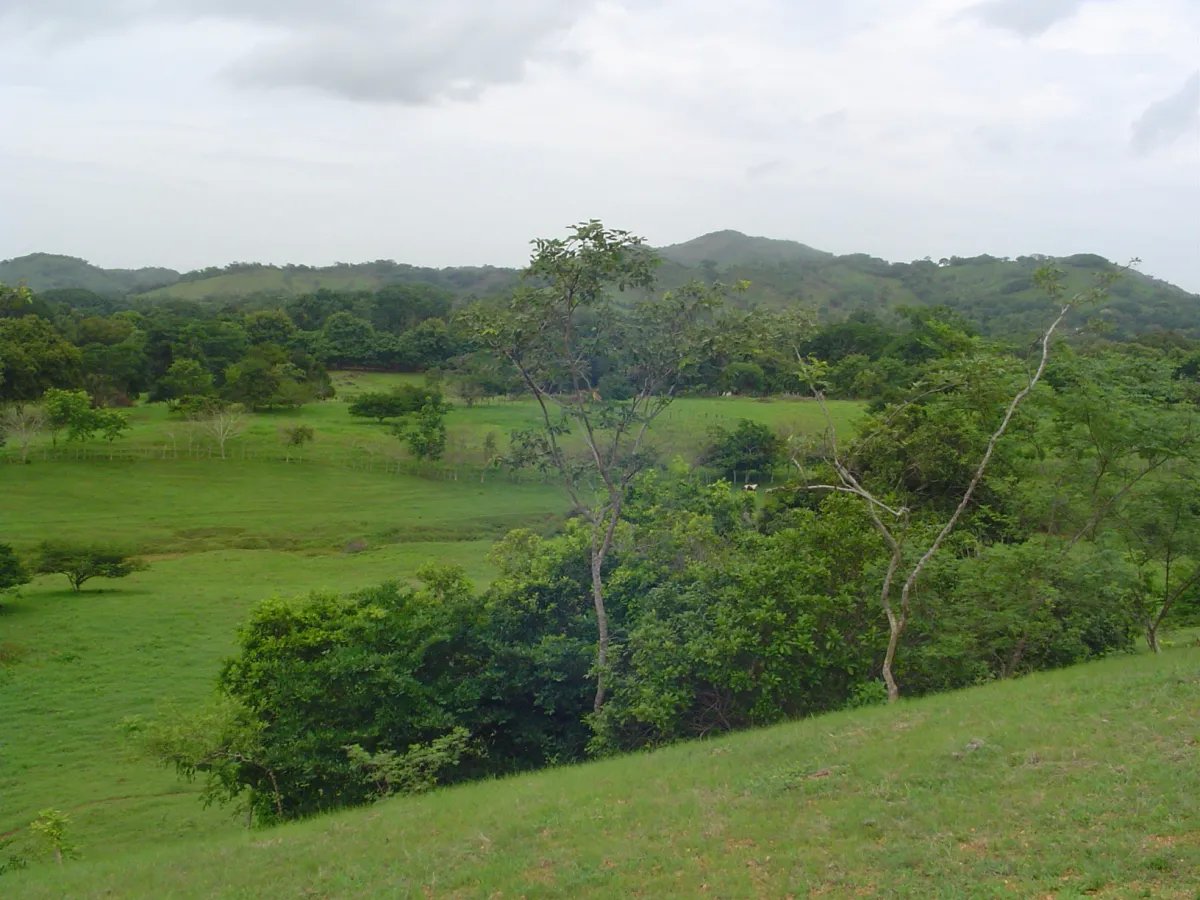 Unimproved Land For Sale in Parita, Potuga
