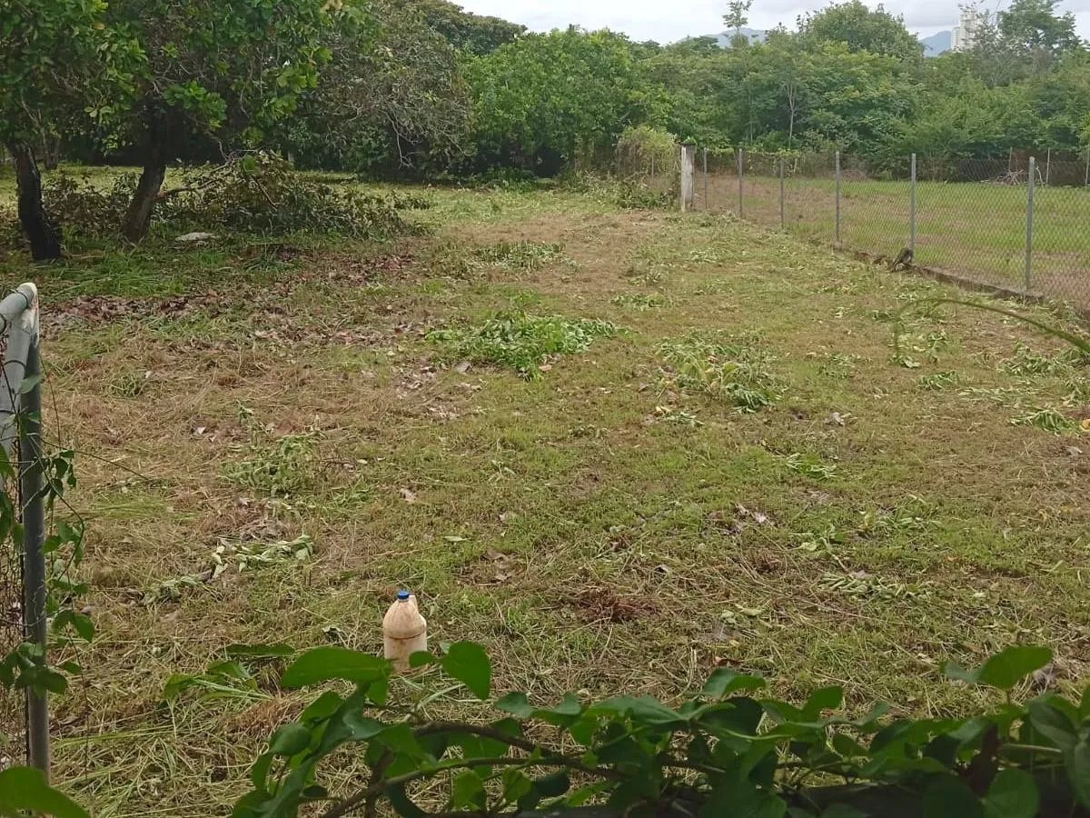 Venta de Terreno en Coronado