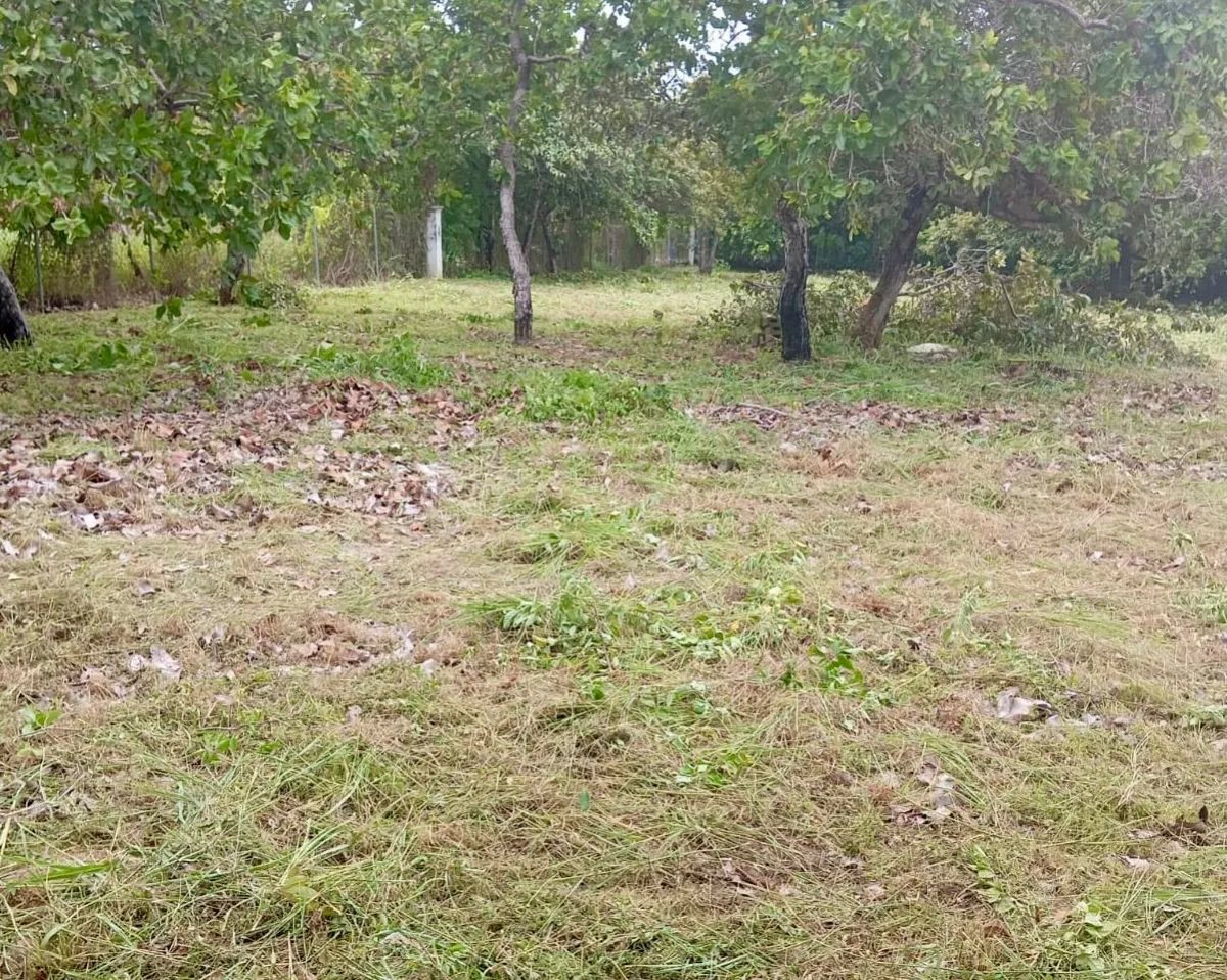 Venta de Terreno en Coronado