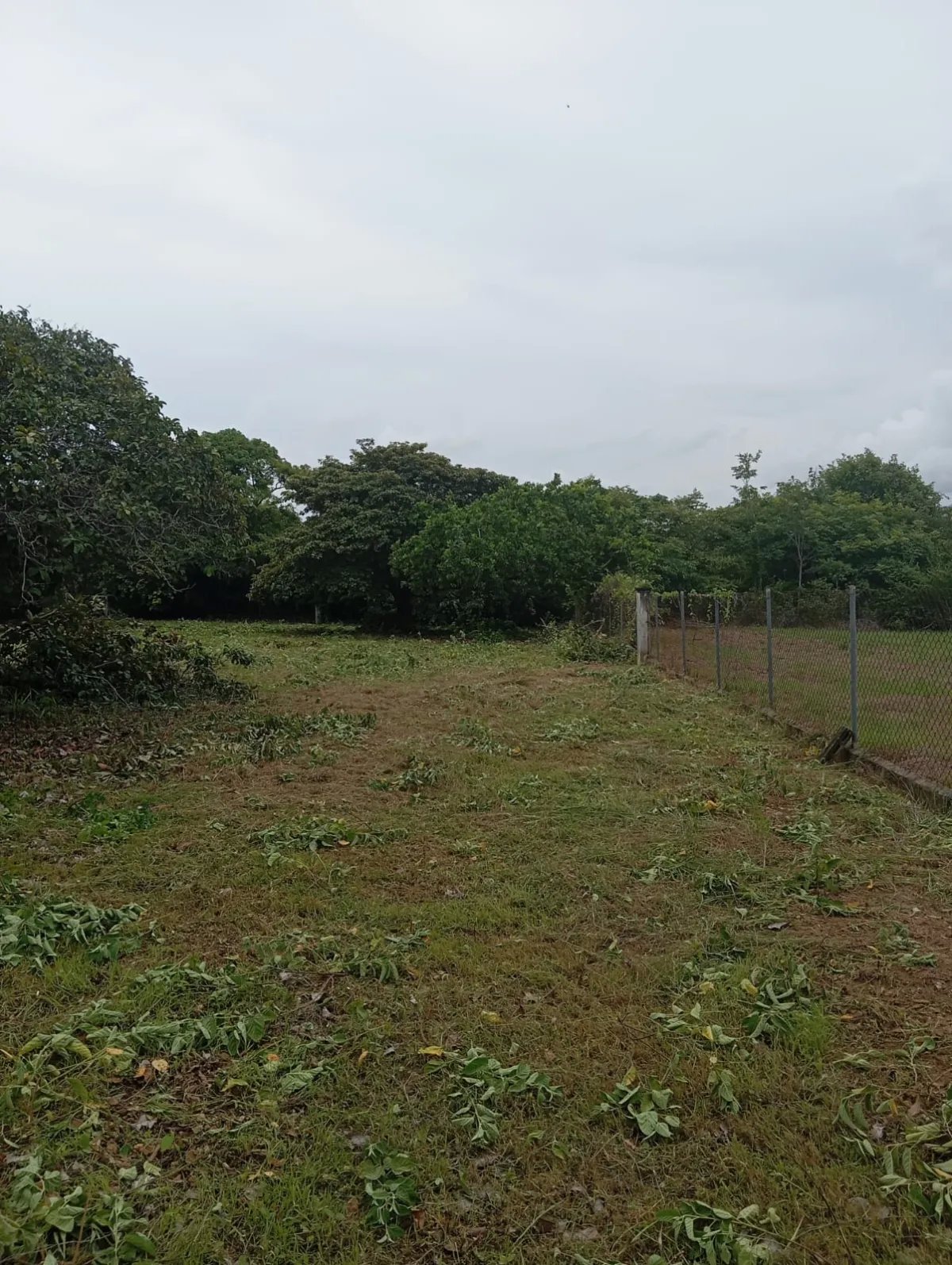 Venta de Terreno en Coronado