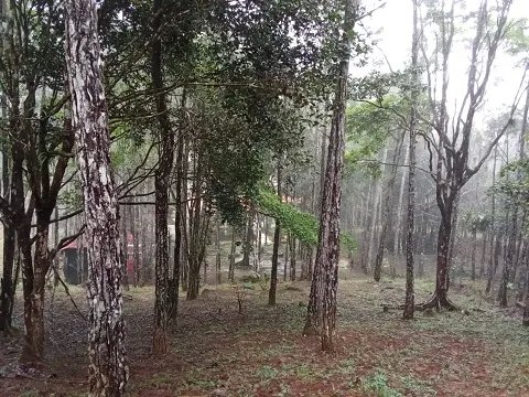 Single Family Detached For Sale in Altos de Cerro Azul