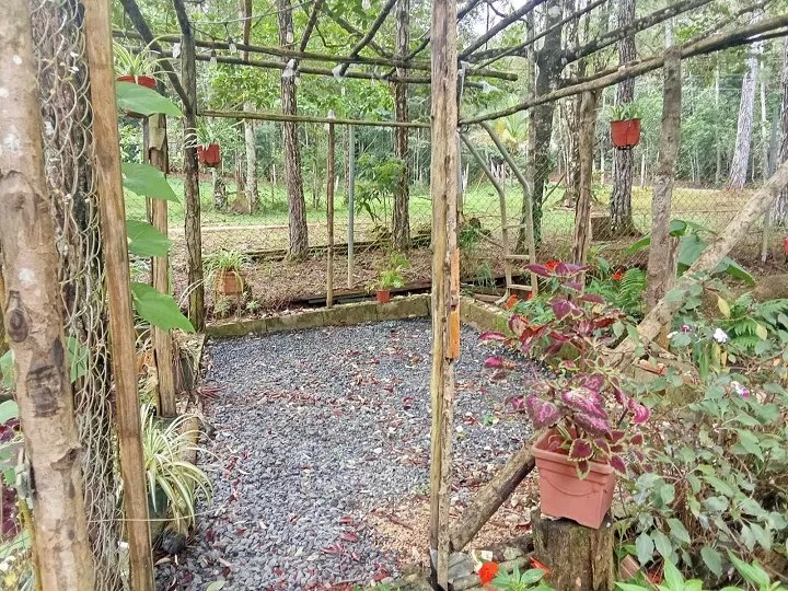 Single Family Detached For Sale in Altos de Cerro Azul
