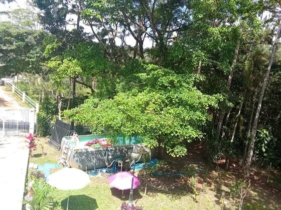 Single Family Detached For Sale in Altos de Cerro Azul
