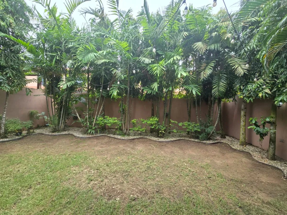 Duplex For Sale in Versalles