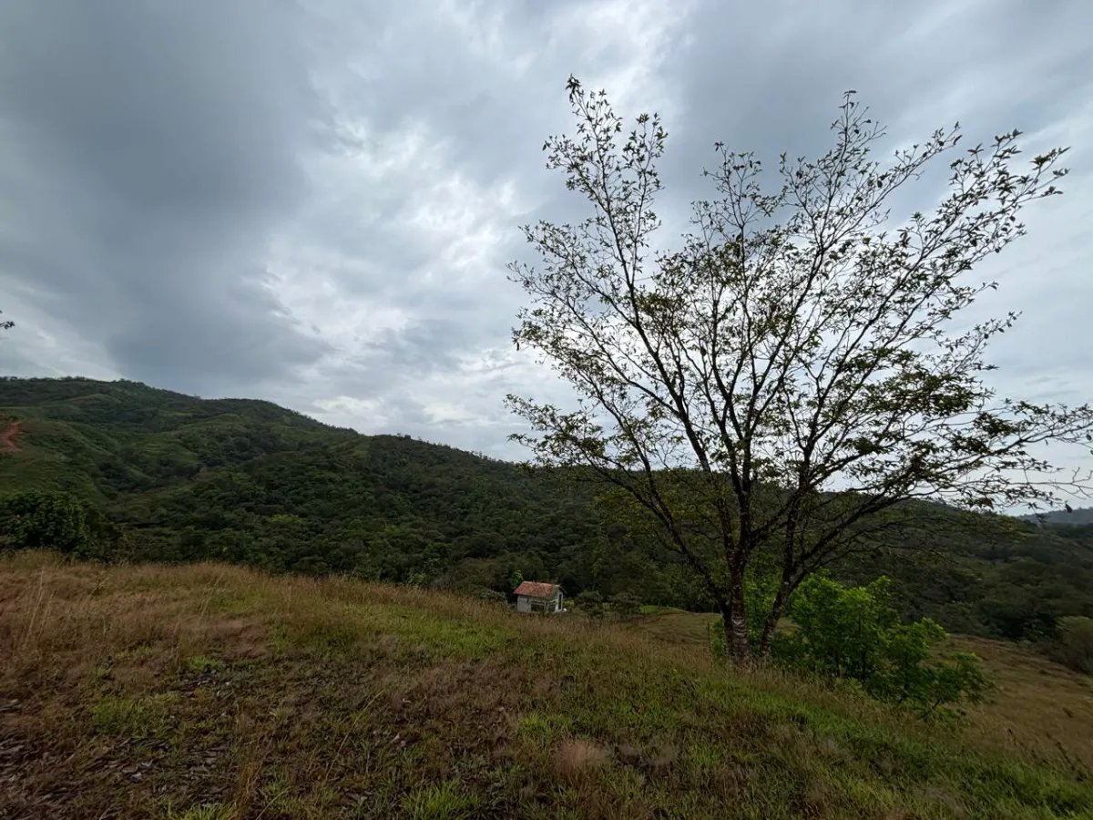 Unimproved Land For Sale in Torio, Mariato