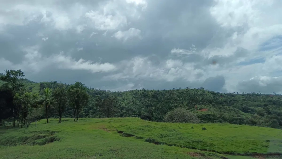 Unimproved Land For Sale in Torio, Mariato
