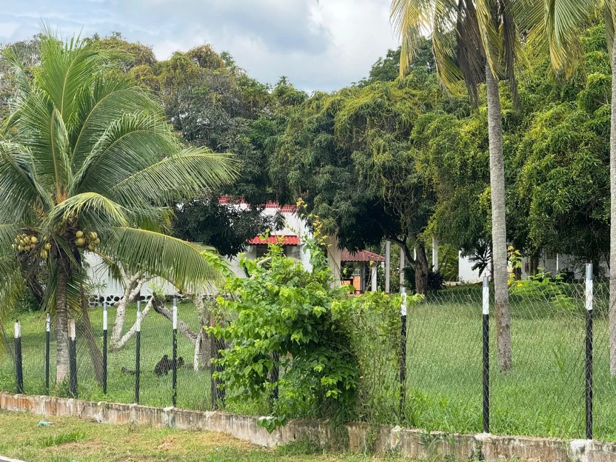 VENDO PROPIEDAD COMERCIAL EL COCO LA CHORRERA
