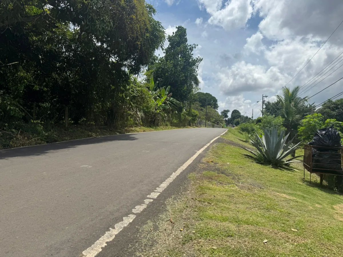 VENDO PROPIEDAD COMERCIAL EL COCO LA CHORRERA