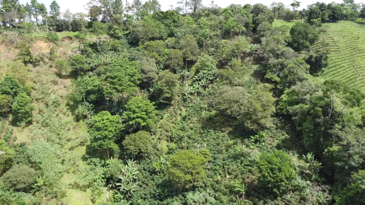 Farm For Sale in Santa Clara Renacimiento