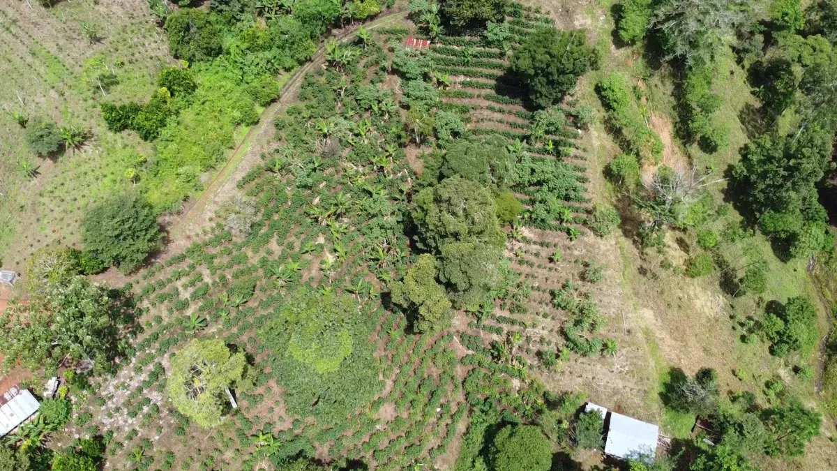 Farm For Sale in Santa Clara Renacimiento