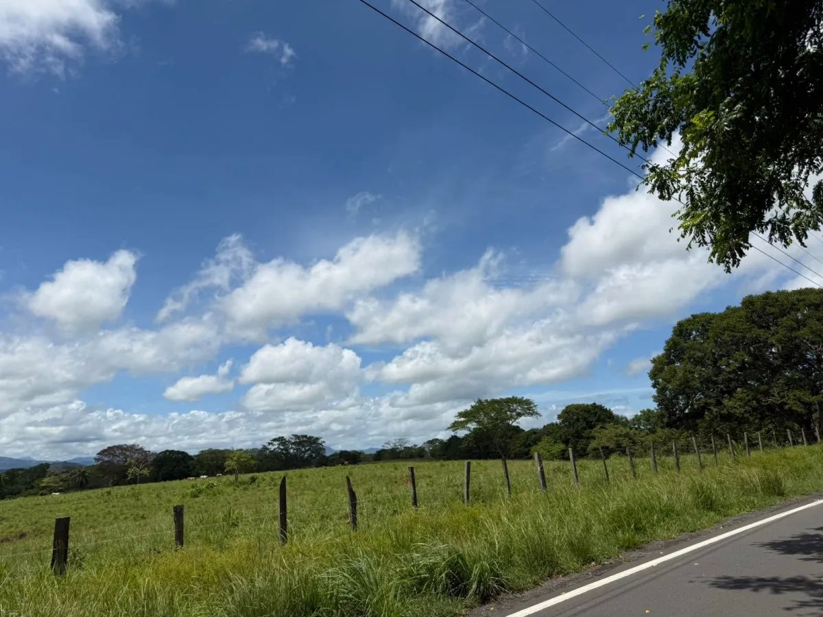 Agriculture For Sale in Venta de finca en San Juan de San Lorenzo