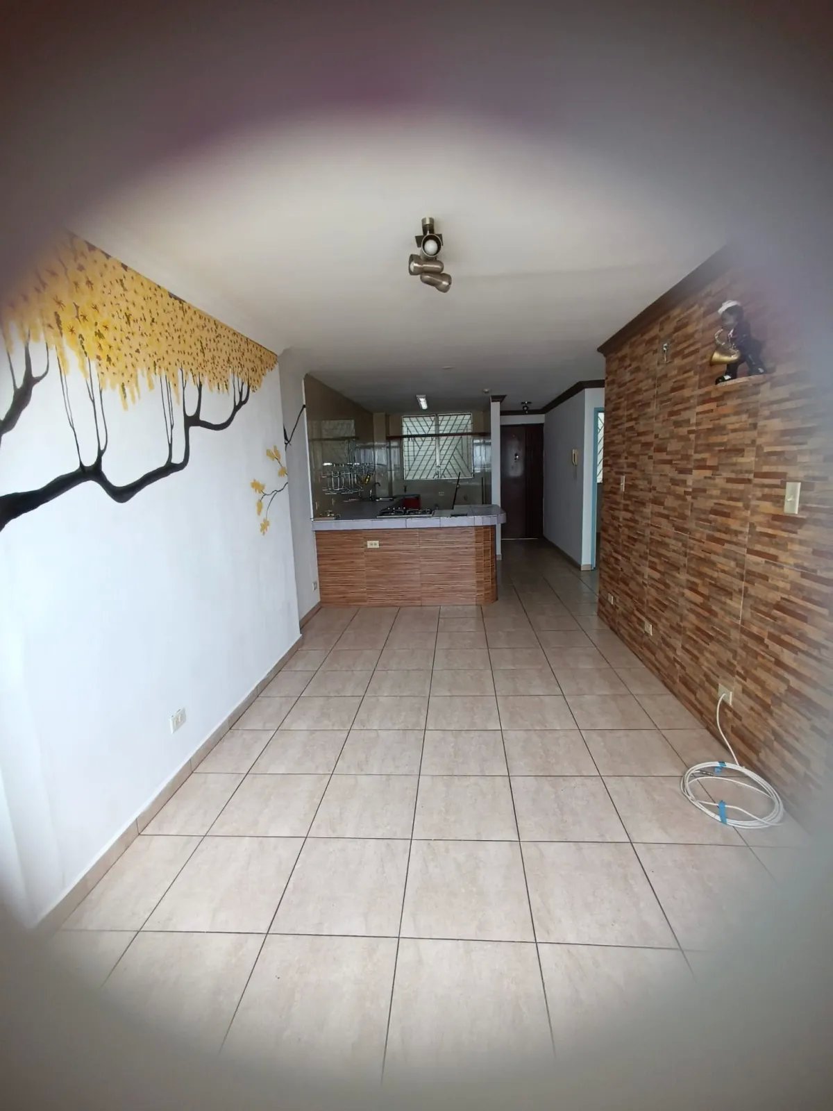Apartment For Rent in Calle 81 Este