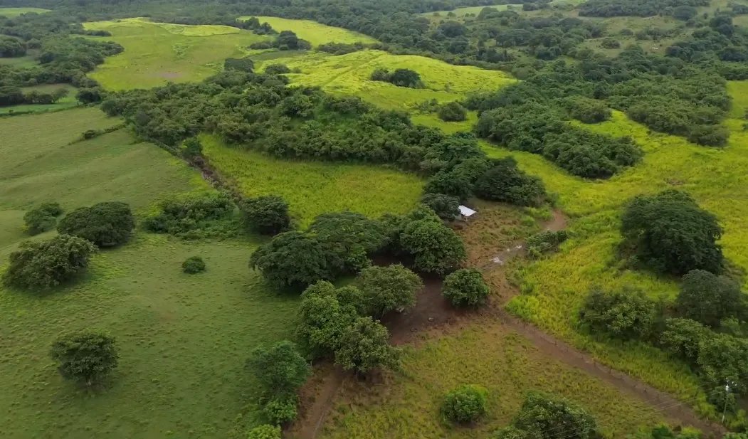 Agriculture For Sale in Río Salado