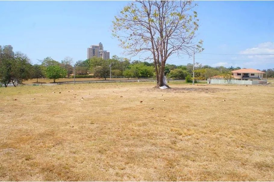 Terreno en venta en Las Palmeras Golf, Coronado