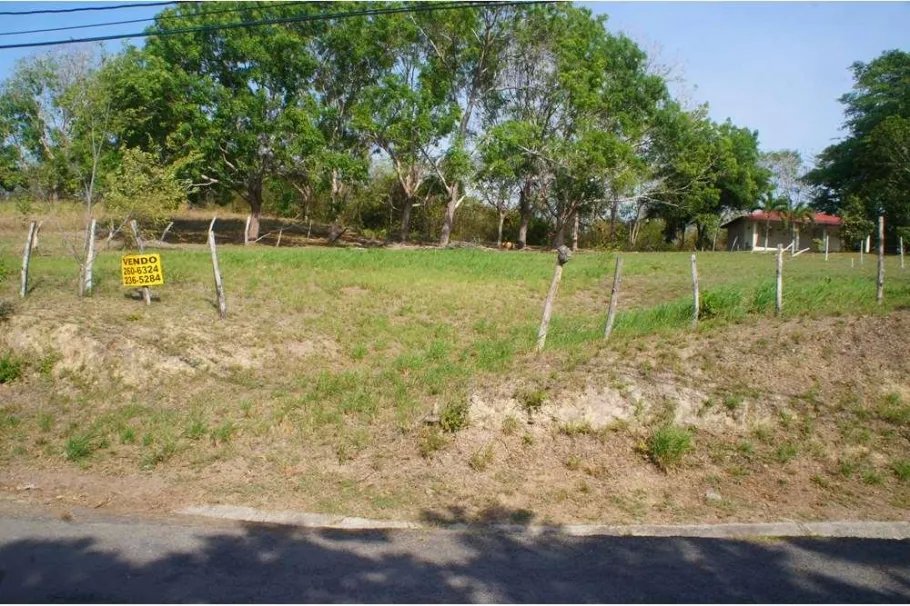 Unimproved Land For Sale in Las Uvas