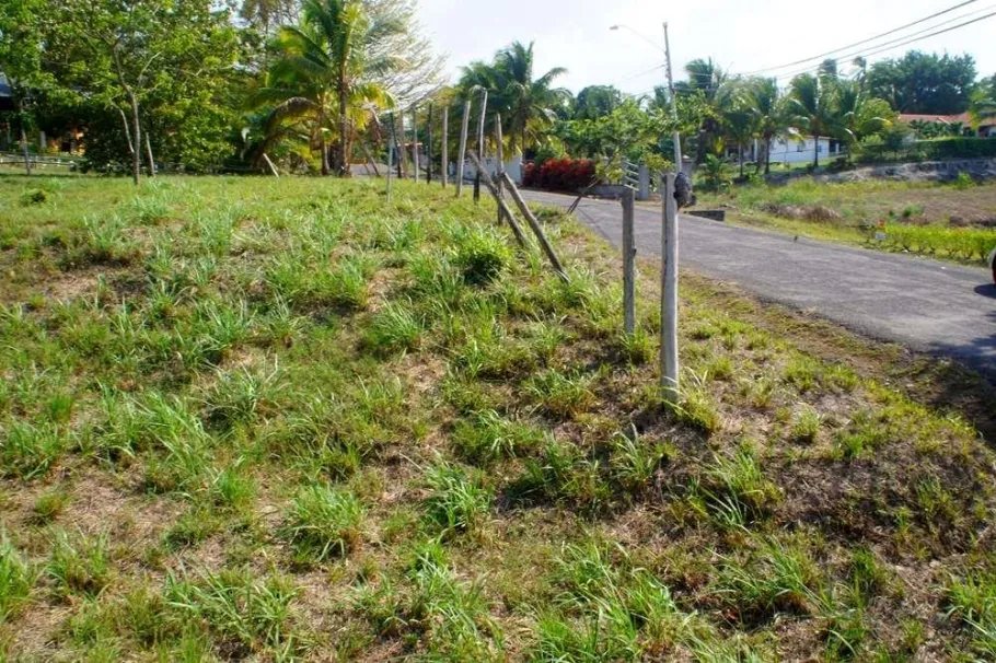 Unimproved Land For Sale in Las Uvas