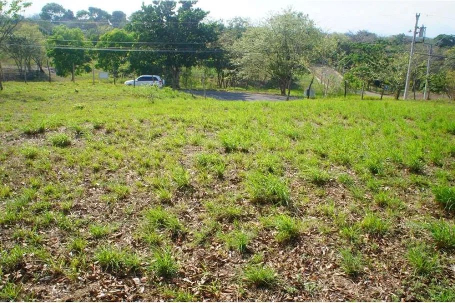 Unimproved Land For Sale in Las Uvas