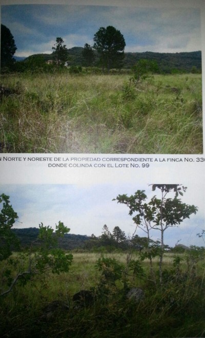 14725 - Alto boquete - lotes