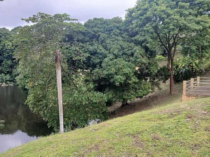 Single Family Detached For Sale in Las Cumbres