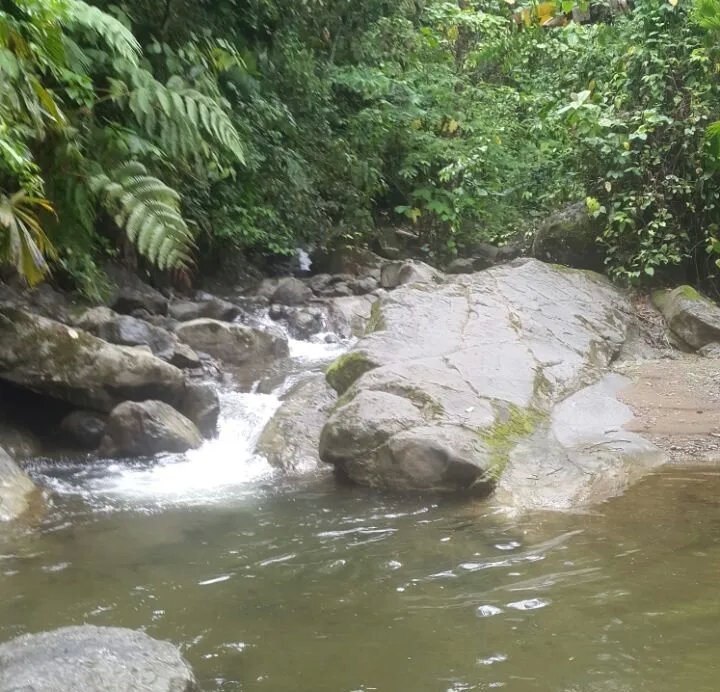 House For Sale in Changuinola a Guabito