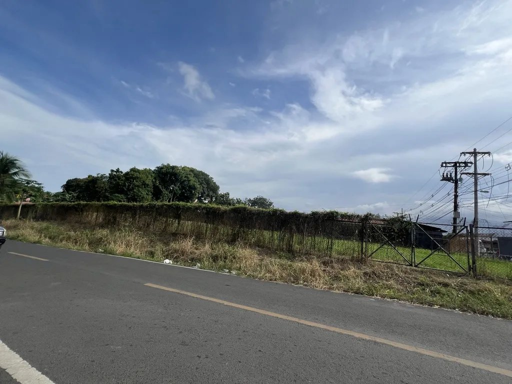 SE VENDE LOTE DE TERRENO EN PEDREGAL