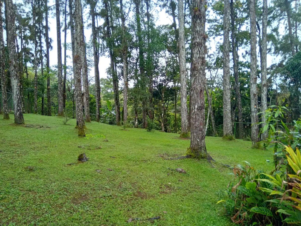 Vacation Home For Rent in Calle Altos de Cerro Azul