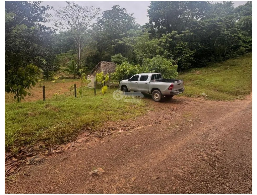 Land/Farm for sale in La Pintada