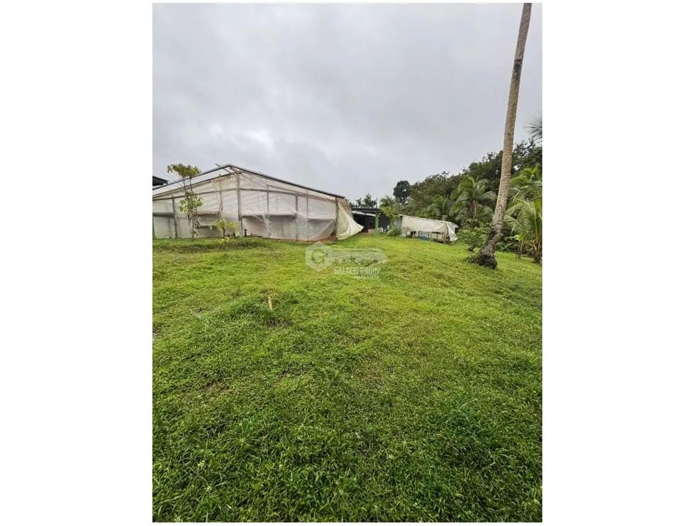 Land/Farm for sale in La Pintada