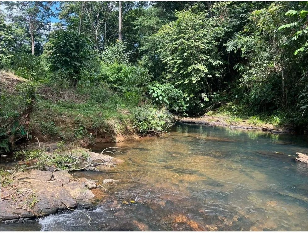Building Lot for sale in La Pintada