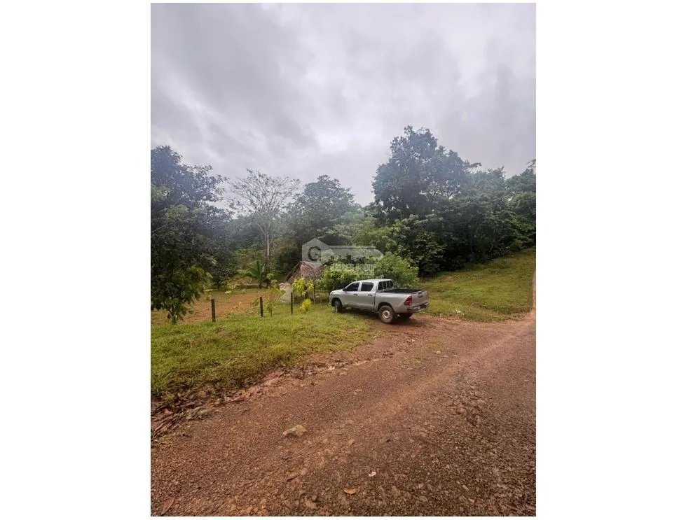 Building Lot for sale in La Pintada