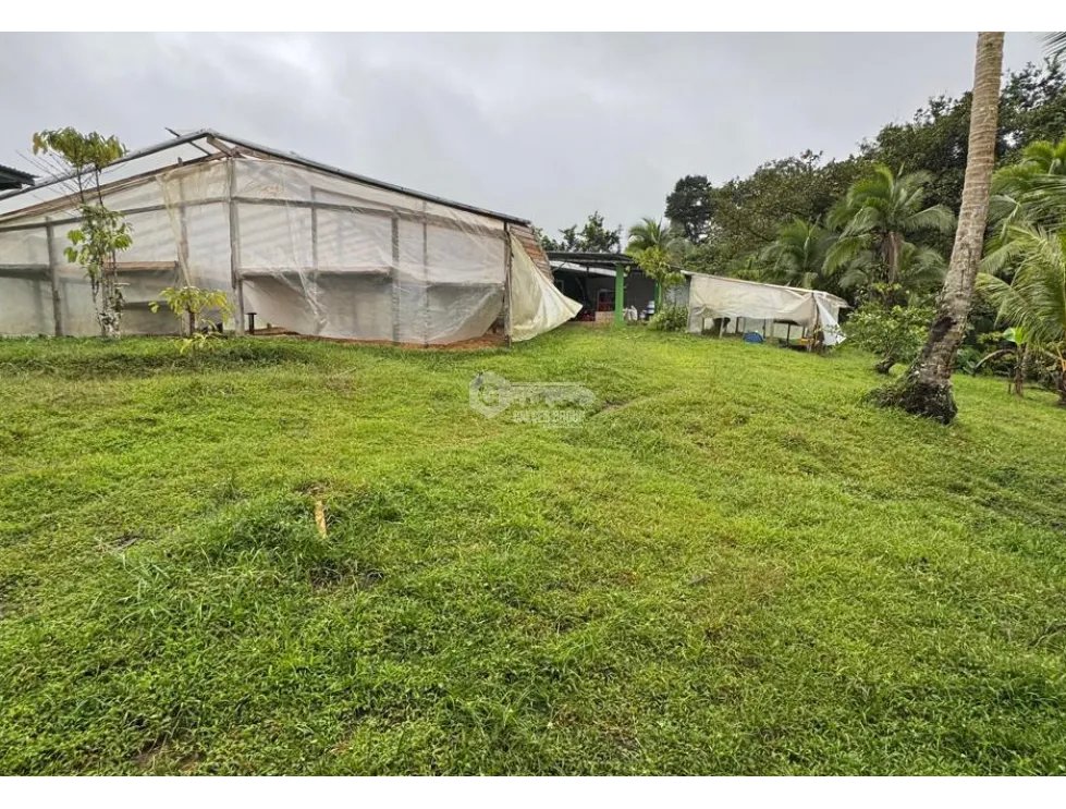 Land/Farm for sale in La Pintada