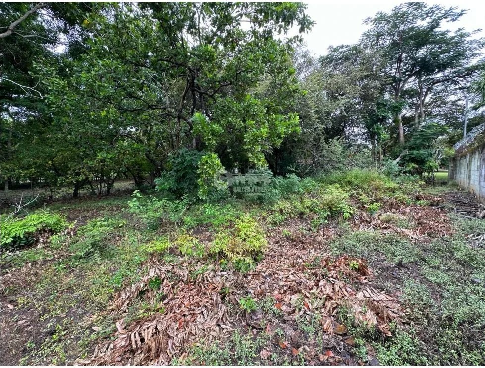 SE VENDE TERRENO EN CORONADO 995 M2 PLANO CERCA DE LA PLAYA