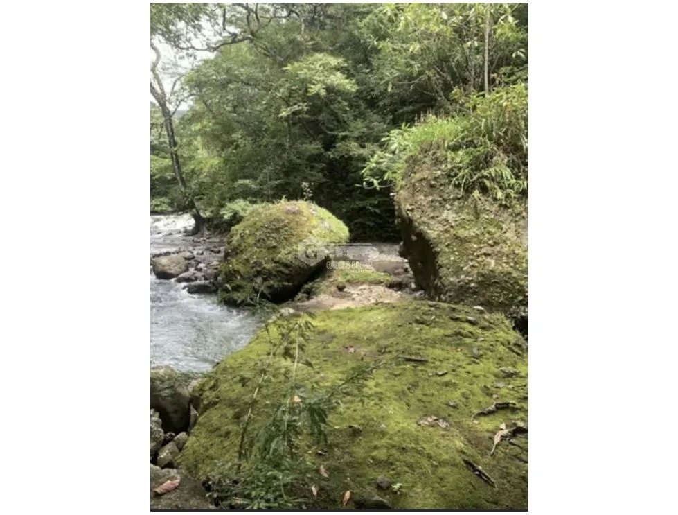 SE VENDE TERRENO EN  CHAME ALTOS DE MARIA 2607 M2 A MINUTOS DE CASCADA