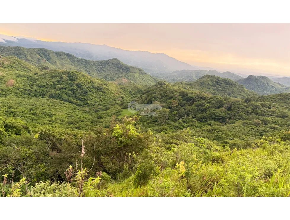 Land/Farm for sale in Sora