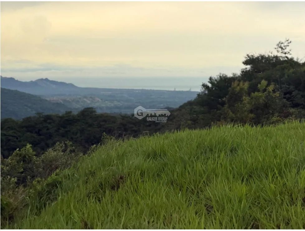Land/Farm for sale in Sora