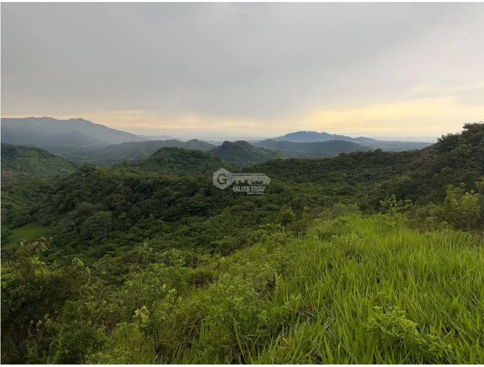 Land/Farm for sale in Sora
