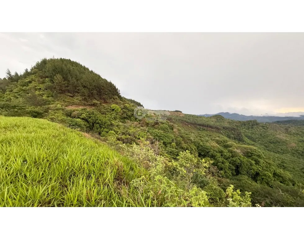 Land/Farm for sale in Sora