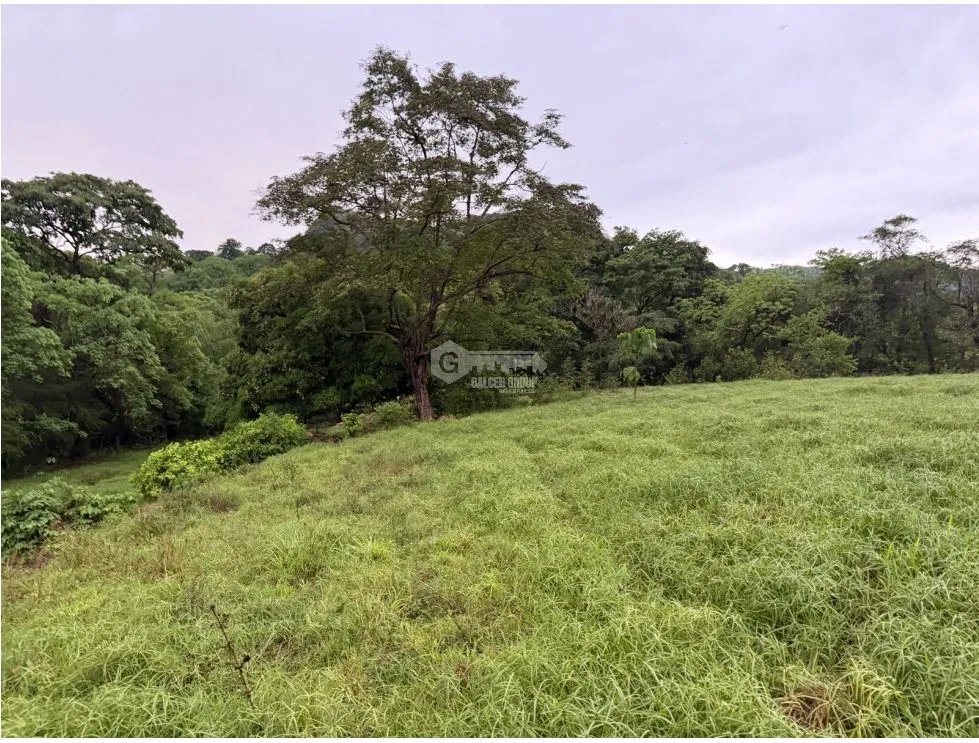 Land/Farm for sale in Sora