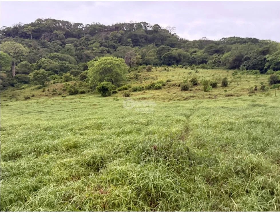 TERRENO / CHAME / LOS CAJONES /  70K M / VIA ASFALTADA/ AGUA VIVA