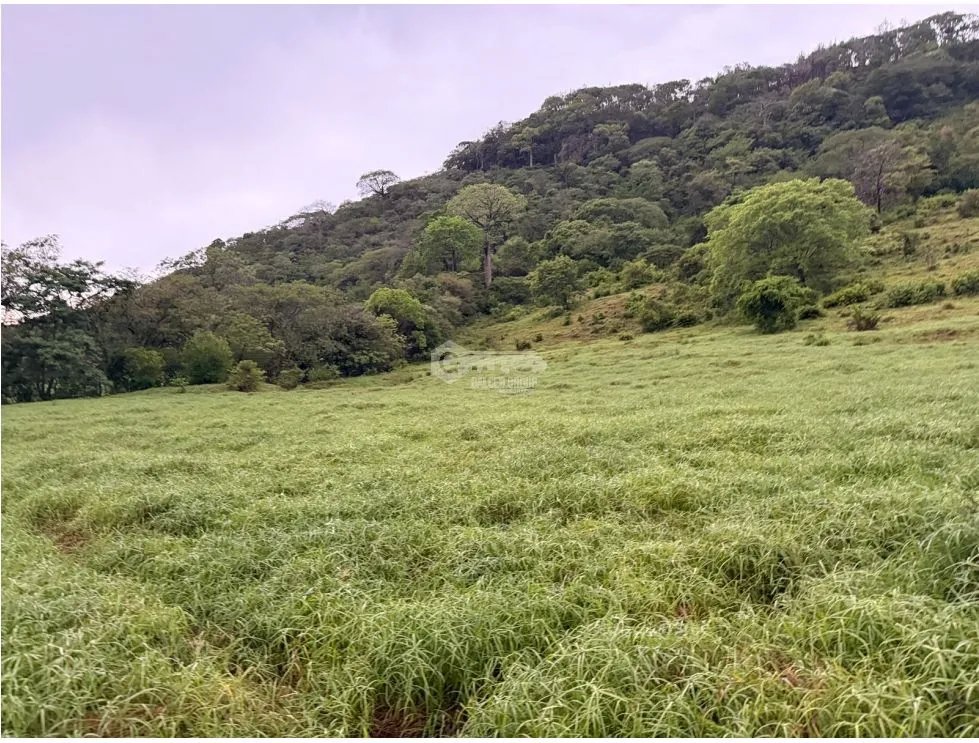 TERRENO / CHAME / LOS CAJONES /  70K M / VIA ASFALTADA/ AGUA VIVA