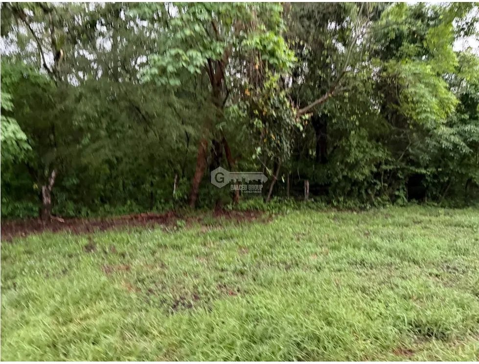 TERRENO / CHAME / LOS CAJONES /  70K M / VIA ASFALTADA/ AGUA VIVA