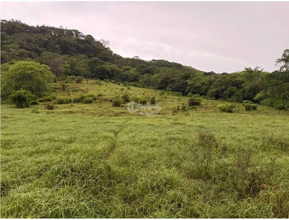 Land/Farm for sale in Sora