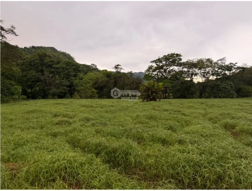 Land/Farm for sale in Sora