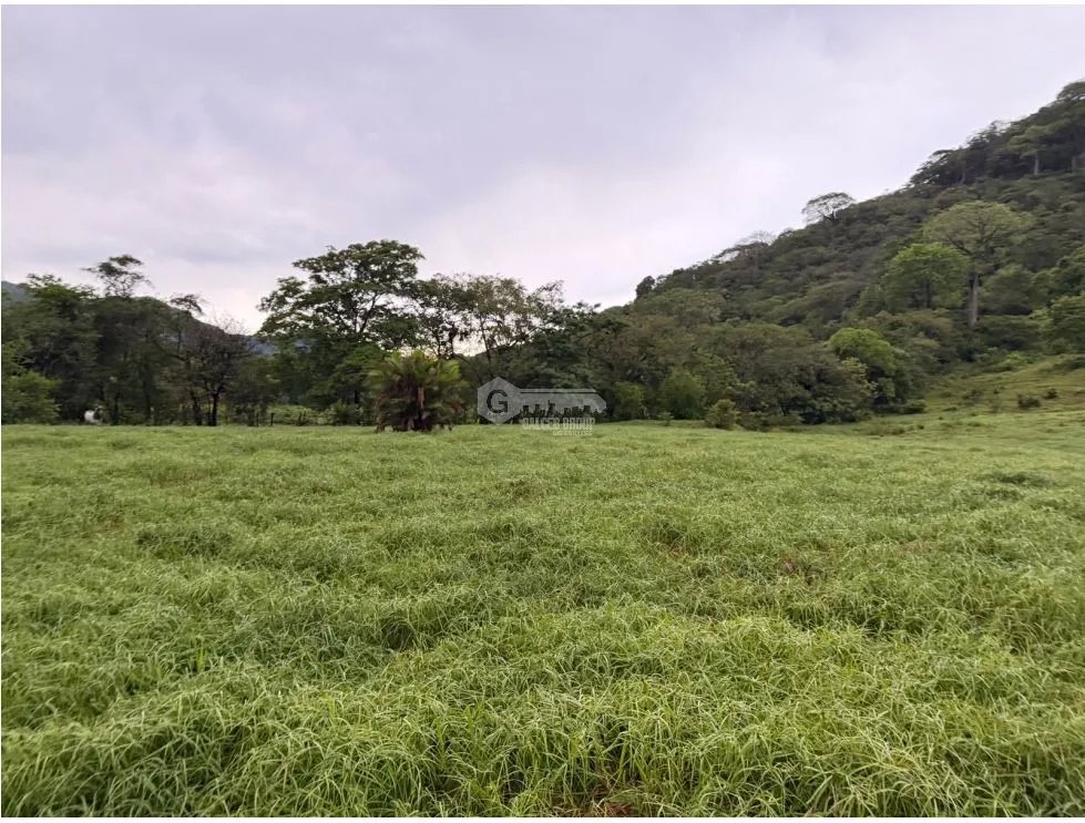 Land/Farm for sale in Sora