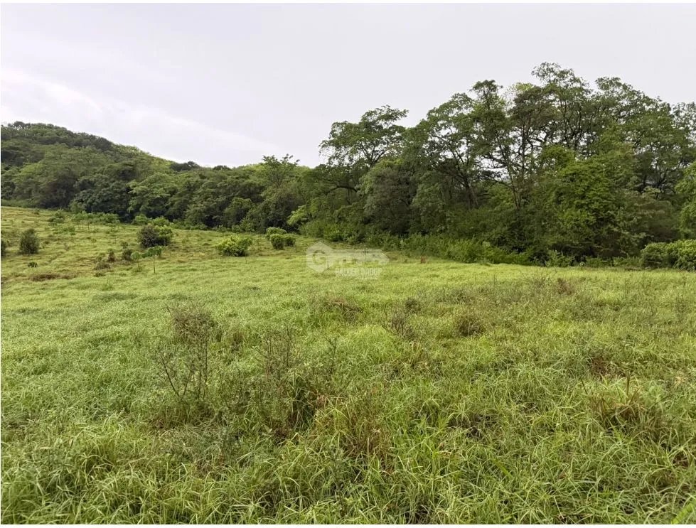 Land/Farm for sale in Sora