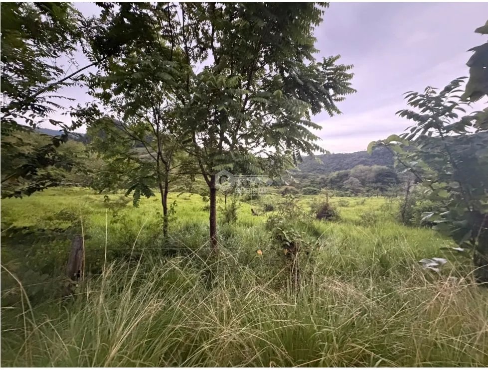 Building Lot for sale in Sora