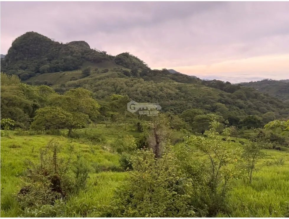 Building Lot for sale in Sora
